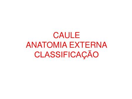 CAULE ANATOMIA EXTERNA CLASSIFICAÇÃO.